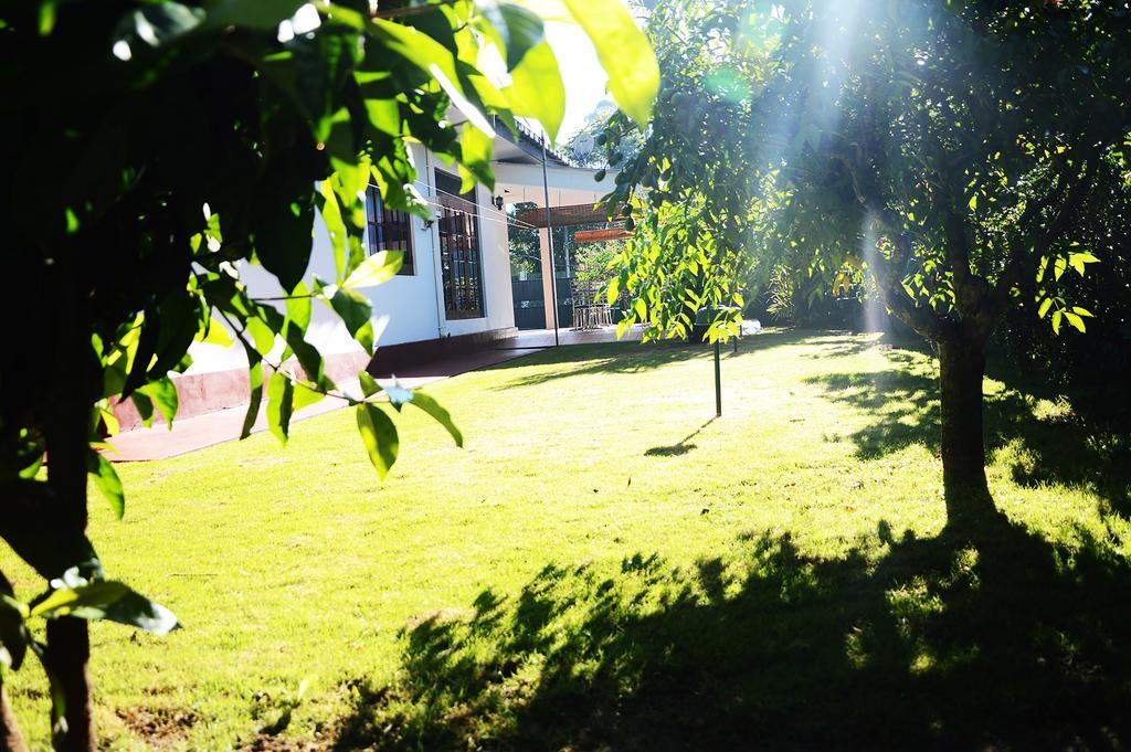 Nil Vimana Villa Ella Exteriör bild